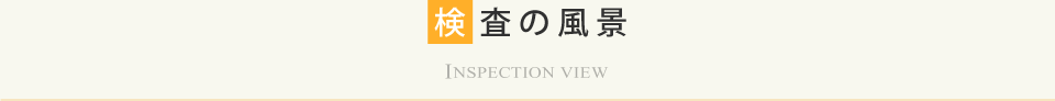 ̕i INSPECTION VIEW